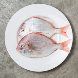 Seabream